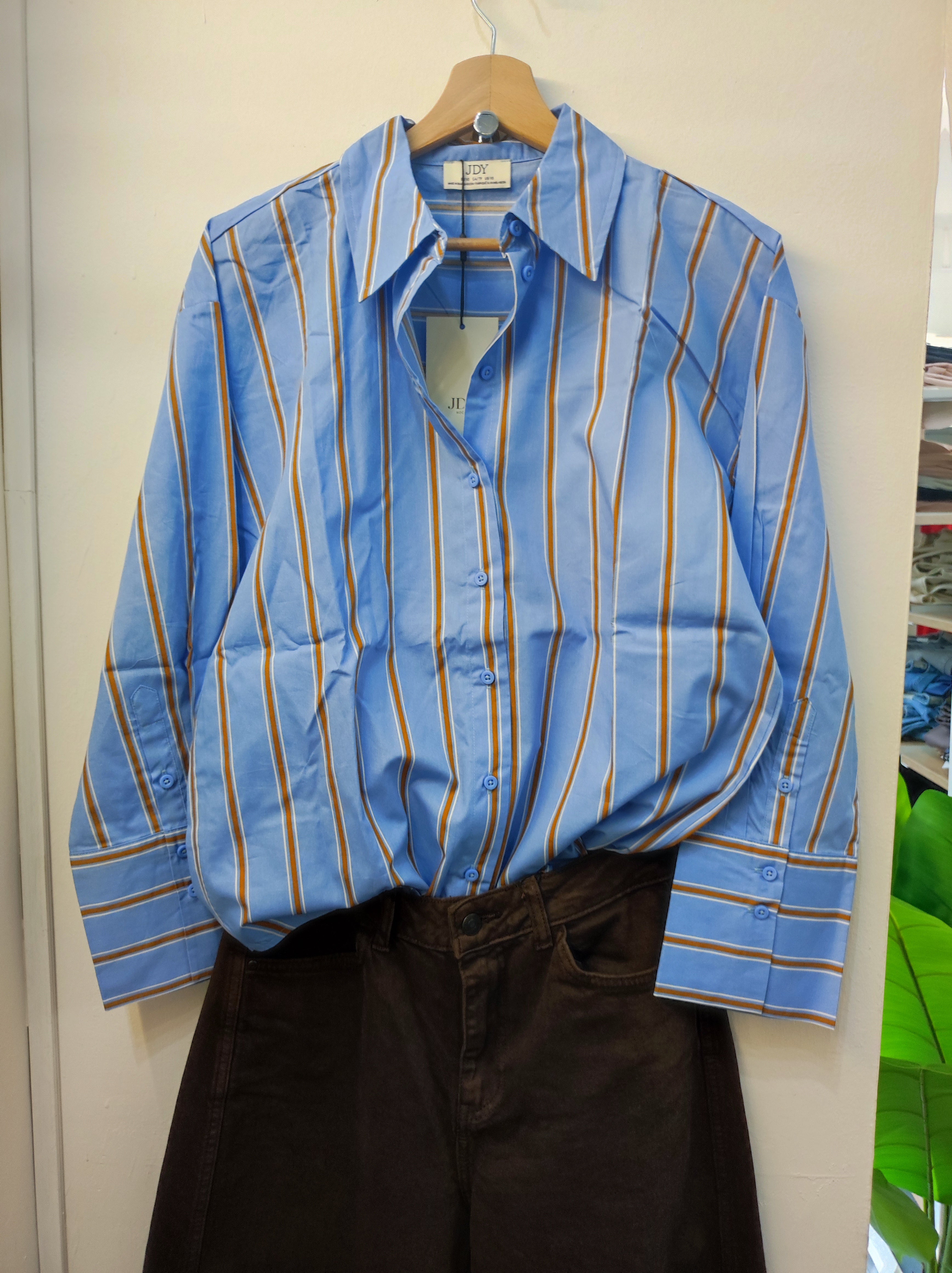 NUOVA COLLEZIONE - CAMICIA cotone